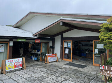 【ウォーターパーク長瀞】なにする？雨の日のおこもりキャンプ