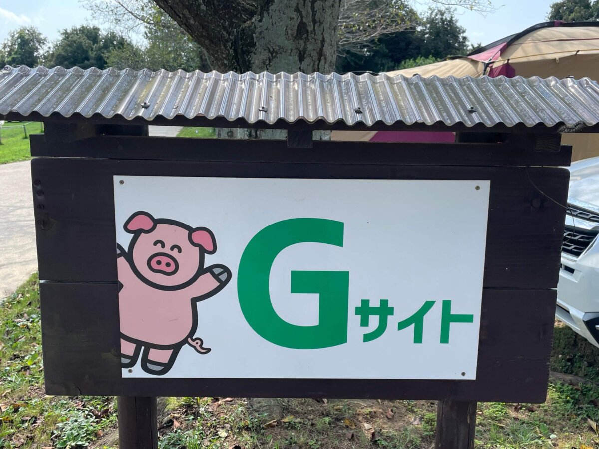 Gサイト