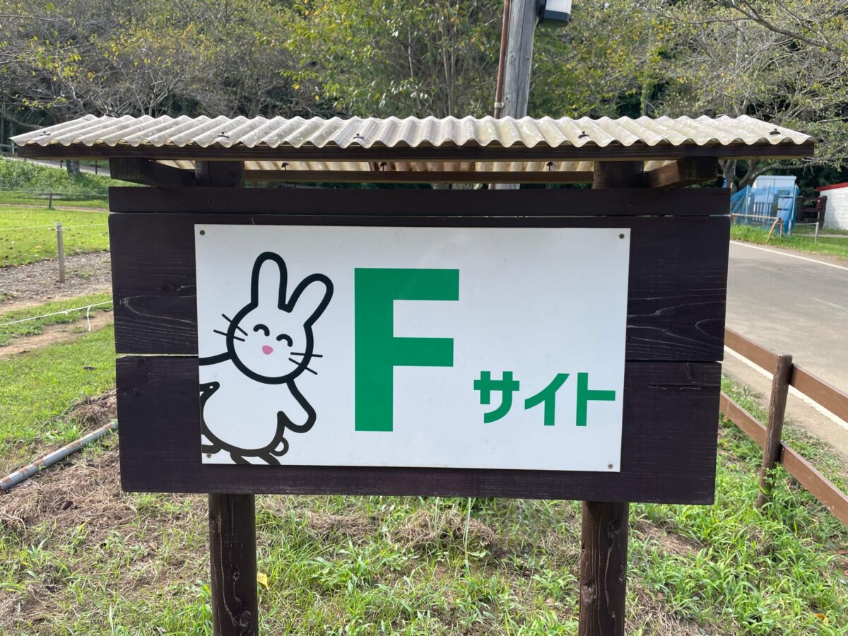 Fサイト