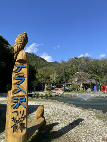 釣りを満喫！ナラ入沢渓流釣りキャンプ場