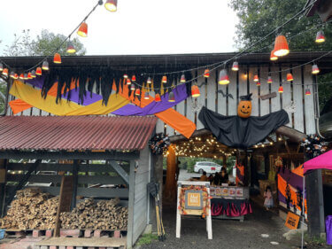 赤城山オートキャンプ場で念願の初ハロウィンキャンプ